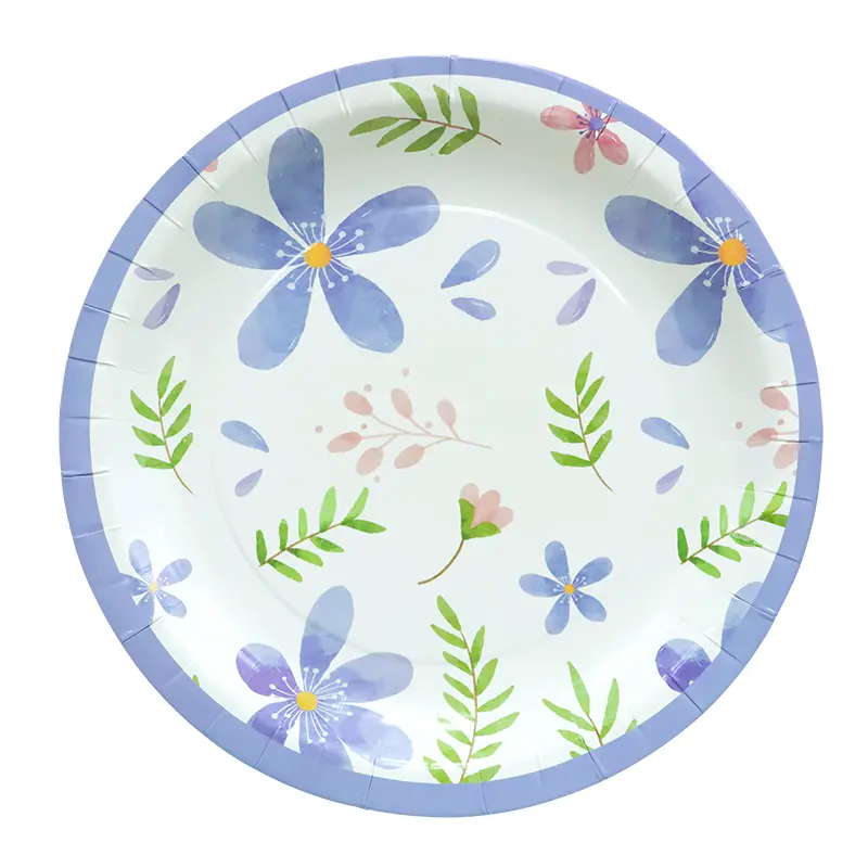 10in Paper Plates 12pcs
