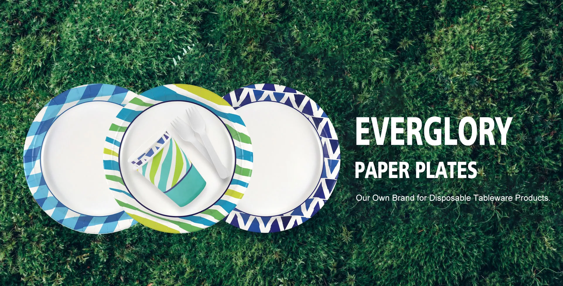 Disposable Paper Plates Supplier