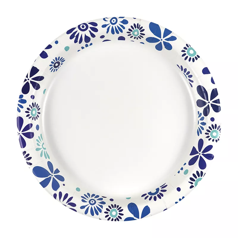 What Factors Affect the Durability and Safety of Colorful Paper Plates?