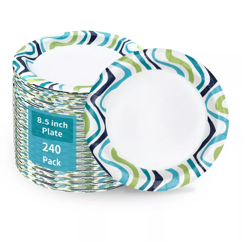How to Choose Functional Paper Plates for Eco-Friendly Catering Events?
