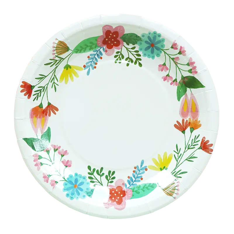 10in Paper Plates 56CT and the Growing Demand for Practical Sustainable Tableware